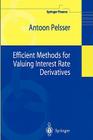 Efficient Methods for Valuing Interest Rate Derivatives (Springer Finance) By Antoon Pelsser Cover Image