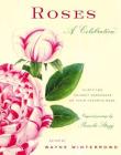 Roses: A Celebration By Wayne Winterrowd (Editor), Pamela Stagg (Illustrator) Cover Image