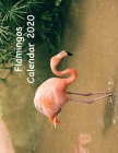 Flamingos Calendar 2020 By Hope Huggs, Moon Phase Calendar Cover Image