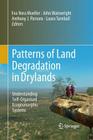 Patterns of Land Degradation in Drylands: Understanding Self-Organised Ecogeomorphic Systems Cover Image