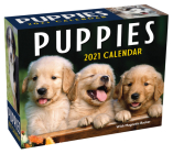Puppies 2021 Mini Day-to-Day Calendar Cover Image