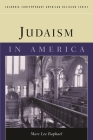 Judaism in America (Columbia Contemporary American Religion) By Marc Lee Raphael Cover Image