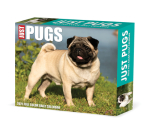 Pugs 2022 Box Calendar - Dog Breed Daily Desktop Cover Image