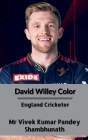 David Willey Color: England Cricketer By Vivek Kumar Pandey Cover Image