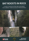Bat Roosts in Rock Cover Image