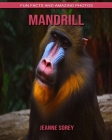 Mandrill: Fun Facts and Amazing Photos By Jeanne Sorey Cover Image