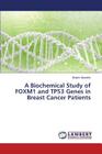 A Biochemical Study of FOXM1 and TP53 Genes in Breast Cancer Patients By Alkoofee Dhafer Cover Image