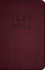 Holy Bible-Nab By Saint Benedict Press Cover Image