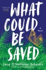 What Could Be Saved: A Novel By Liese O'Halloran Schwarz Cover Image