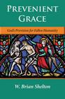 Prevenient Grace: God's Provision for Fallen Humanity Cover Image