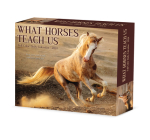 What Horses Teach Us 2024 6.2 X 5.4 Box Calendar By Willow Creek Press Cover Image