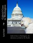 Gabriel Goes to Washington: Through Big Brown Eyes; the Adventures of Gabriel the Poodle By Lynn B. Sauls (Illustrator), Lynn B. Sauls Cover Image