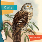 Owls By Melissa Gish Cover Image