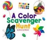 A Color Scavenger Hunt (Scavenger Hunts) By Jenna Lee Gleisner Cover Image