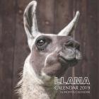 Llama Calendar 2019: 16 Month Calendar By Mason Landon Cover Image