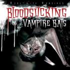 Bloodsucking Vampire Bats (Real-Life Vampires) By Therese M. Shea Cover Image