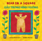 Bear in a Square (Bilingual Vietnamese & English) Cover Image