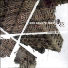 One Square Foot - Photography by John Fung By Fung John (Photographer) Cover Image