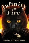 Infinity on Fire By Bonnie K. T. Dillabough Cover Image