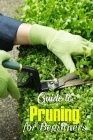 Guide to Pruning for Beginners: How to Pruning Tree Cover Image