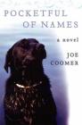 Pocketful of Names: A Novel By Joe Coomer Cover Image