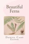 Beautiful Ferns By Daniel Cady Eaton Cover Image