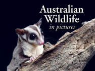  Australian Wildlife in Picture : Celebrating the unique nature of the island continent, from kangaroos to sea dragons By New Holland Publishers Cover Image