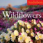 Audubon Wildflowers Calendar 2009 By National Audubon Society Cover Image