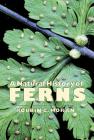 A Natural History of Ferns By Robbin C. Moran Cover Image