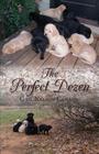 The Perfect Dozen By Gail Nelson Canada Cover Image