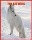 Polarfuchs: Kinderbuch Erstaunliche Fakten & Bilder über Polarfuchs By Sue Anthony Cover Image
