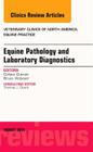 Equine Pathology and Laboratory Diagnostics, an Issue of Veterinary Clinics of North America: Equine Practice: Volume 31-2 (Clinics: Veterinary Medicine #31) By Colleen Duncan Cover Image