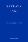 Batlava Lake By Adam Mars-Jones Cover Image