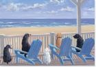 Dogs on Deck Chairs Note Cards [With 15 Designer Envelopes] By Inc Peter Pauper Press (Created by) Cover Image