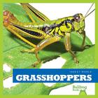 Grasshoppers (Insect World) By Mari C. Schuh Cover Image