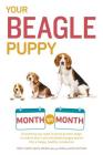 Your Beagle Puppy Month by Month: Everything You Need to Know at Each State to Ensure Your Cute and Playful Puppy (Your Puppy Month by Month) By Terry Albert Cover Image