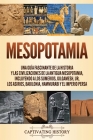 Mesopotamia: Una guía fascinante de la historia y las civilizaciones de la antigua Mesopotamia, incluyendo a los sumerios, Gilgames By Captivating History Cover Image