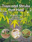 Trees and Shrubs That Heal: Reconnecting with the Medicinal Forest By Anne Stobart Cover Image