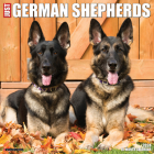 Just German Shepherds 2024 12 X 12 Wall Calendar By Willow Creek Press Cover Image