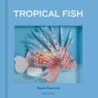 Tropical Fish: Pop-Up Cover Image