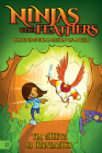 Ninjas with Feathers: The Super-Special Mission of Angels By Tim Sheets, Jd Hornbacher Cover Image