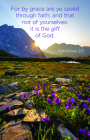 General Worship Bulletin: The Gift of God (Package of 100): Ephesians 2:8 (KJV) By Broadman Church Supplies Staff (Contributions by) Cover Image
