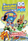 Coast City Carnival Chaos By Steve Korté, Art Baltazar (Illustrator) Cover Image