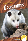 Opossums By Julie Murray Cover Image