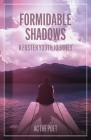 Formidable Shadows: A Foster Youth Journey Cover Image