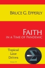 Faith in a Time of Pandemic (Topical Line Drives #39) By Bruce G. Epperly Cover Image