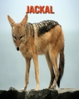 Jackal: Amazing Facts about Jackal Cover Image