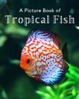 A Picture Book of Tropical Fish: A Beautiful Picture Book for Seniors With Alzheimer's or Dementia. By A Bee's Life Press Cover Image