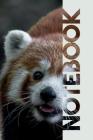 Notebook: Baby Red Panda Chic Composition Book for Endangered Animal Lovers Cover Image