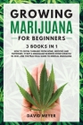 GROWING MARIJUANA For Beginners 3 BOOKS IN 1 How to Grow Cannabis from Home, Indoors and Outdoors, Start a Marijuana Business from Scratch in 2021, an Cover Image